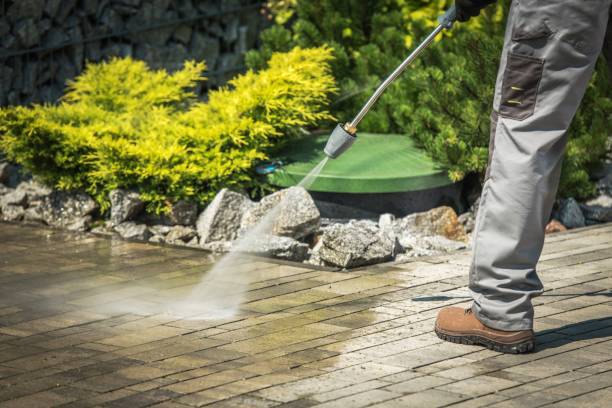 Best Driveway Cleaning and Restoration in Champlin, MN
