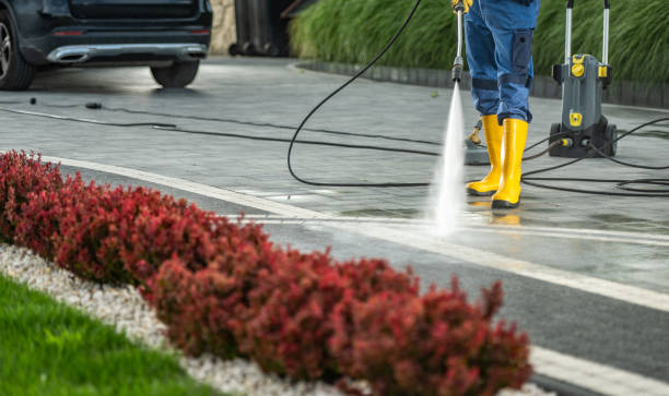 Best Window and Screen Pressure Cleaning in Champlin, MN