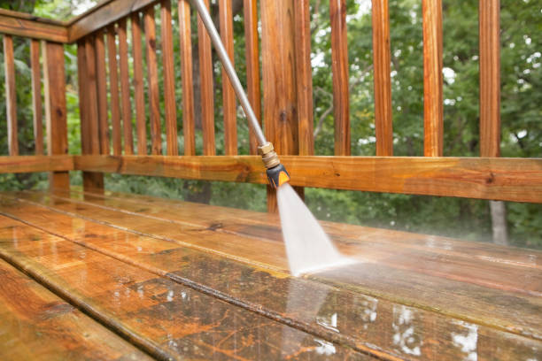 Best Fence Cleaning and Maintenance in Champlin, MN